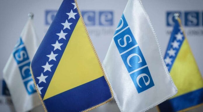OSCE reagovao zbog pritisaka: Novinari i aktivisti moraju raditi bez straha