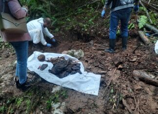 Ekshumirani posmrtni ostaci u Kozarcu Ekshumirani posmrtni ostaci na lokalitetu Jelovački Potok u Vlasenici