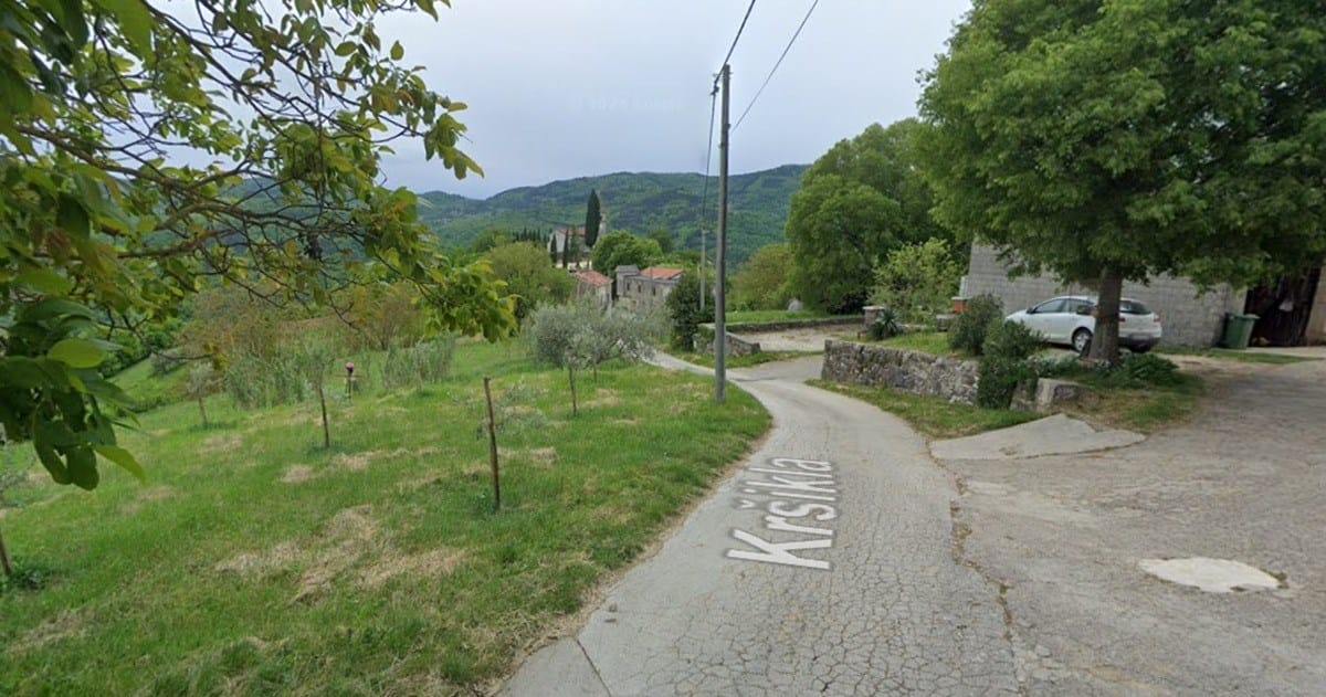 pazin Trogodišnje dijete poginulo nakon pada stabla kod Pazina