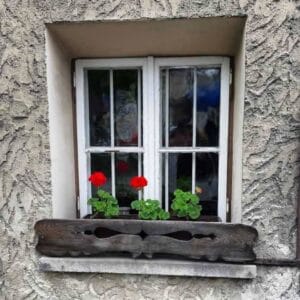 Rogovi u vreći Foto: Facebook/Ivona Grgić