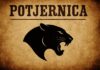 Potjernica za članom grupe “Panter”