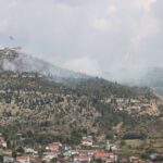 Prve akcije Boranke u BiH: Na Fortici će biti zasađeno 2.000 stabala