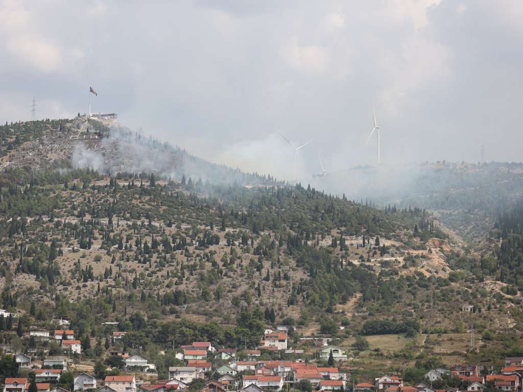 Prve akcije Boranke u BiH: Na Fortici će biti zasađeno 2.000 stabala