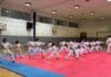 Više od 500 mladih karatista ovog vikenda u Tuzli Mladi karatisti na seminaru u Tuzli učili od vrhunskih majstora