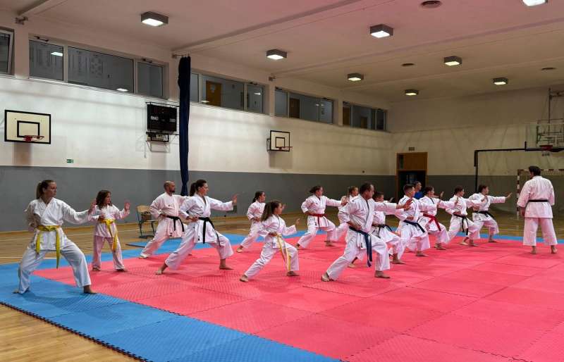 Mladi karatisti na seminaru u Tuzli učili od vrhunskih majstora