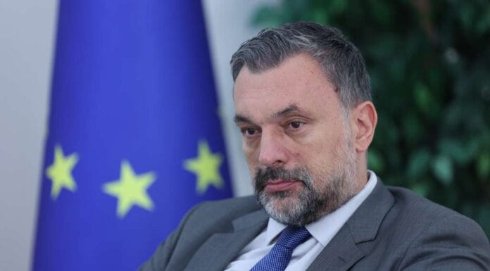 Koncert Jelene Karleuše u Sarajevu najavljen je za august, a ova najava izazvala je reakciju ministra vanjskih poslova Bosne i Hercegovine Elmedina Konakovića