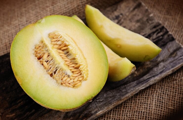 melon-6191136_1280