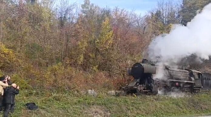Ćiro oduševio turiste u Srebreniku
