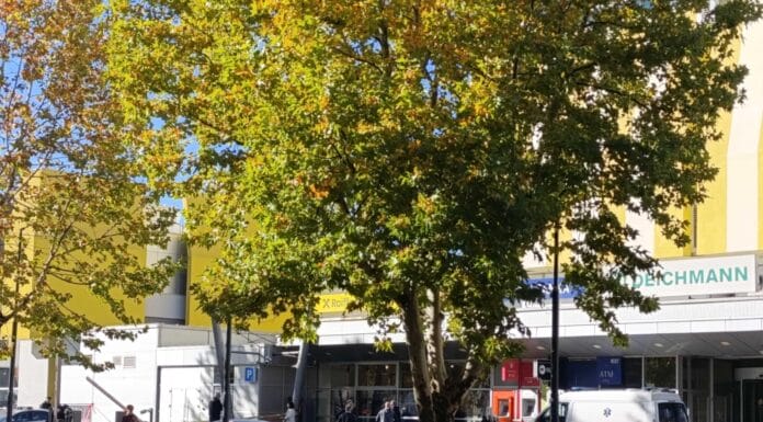 Nesreća u Robnoj kući “Tuzlanka”: Poginula jedna osoba