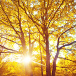 Vremenska prognoza Tuzla: Sunčano s blagim vjetrom Vremenska prognoza Tuzla: Sunčano s blagim vjetrom