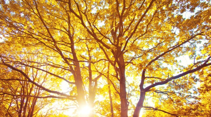 Vremenska prognoza Tuzla: Sunčano s blagim vjetrom