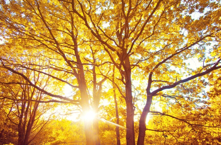 Vremenska prognoza Tuzla: Sunčano s blagim vjetrom