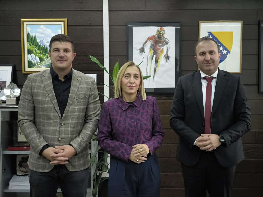 digitalni sistem prezentacija