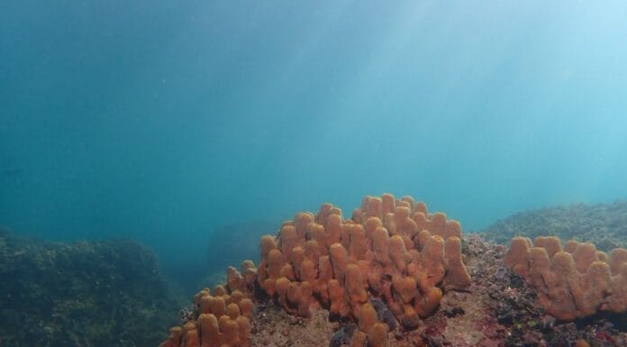 Članovi Eko ronilačke grupe invalida iz Lukavca ostvarili značajne rezultate na takmičenju u Sloveniji Članovi Eko ronilačke grupe invalida iz Lukavca ostvarili značajne rezultate na takmičenju u Sloveniji