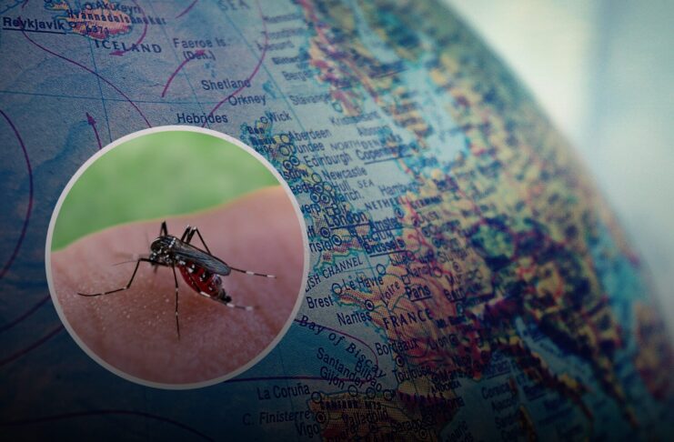 Raste broj zaraženih groznicom Zapadnog Nila u Srbiji, prisutan rizik i u regionu