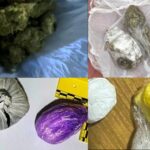 Policija TK u racijama pronašla materije koje asociraju na drogu