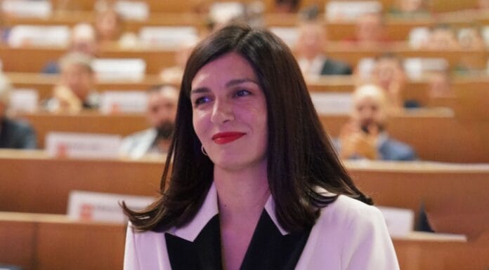 Ćudić na čelu Naše stranke: “Tražit ću čestitost, hrabrost i tvrdoglavi otpor primitivizmu”