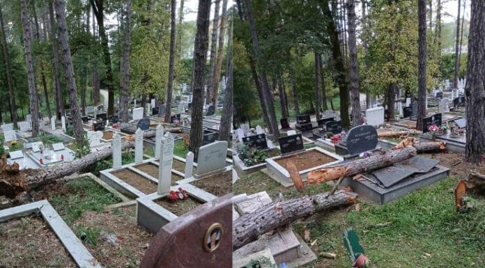 Na groblju Trnovac u Tuzli srušeno suho drveće oštetilo nadgrobne spomenike