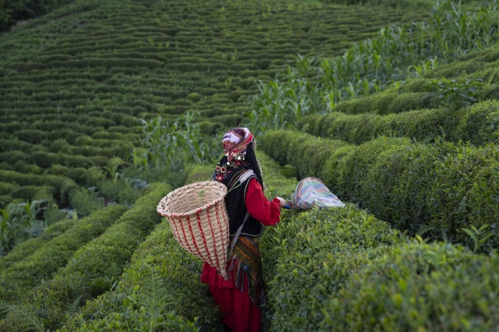 Turska Crnomorska obala na listi National Geographica „Best of the World 2026“