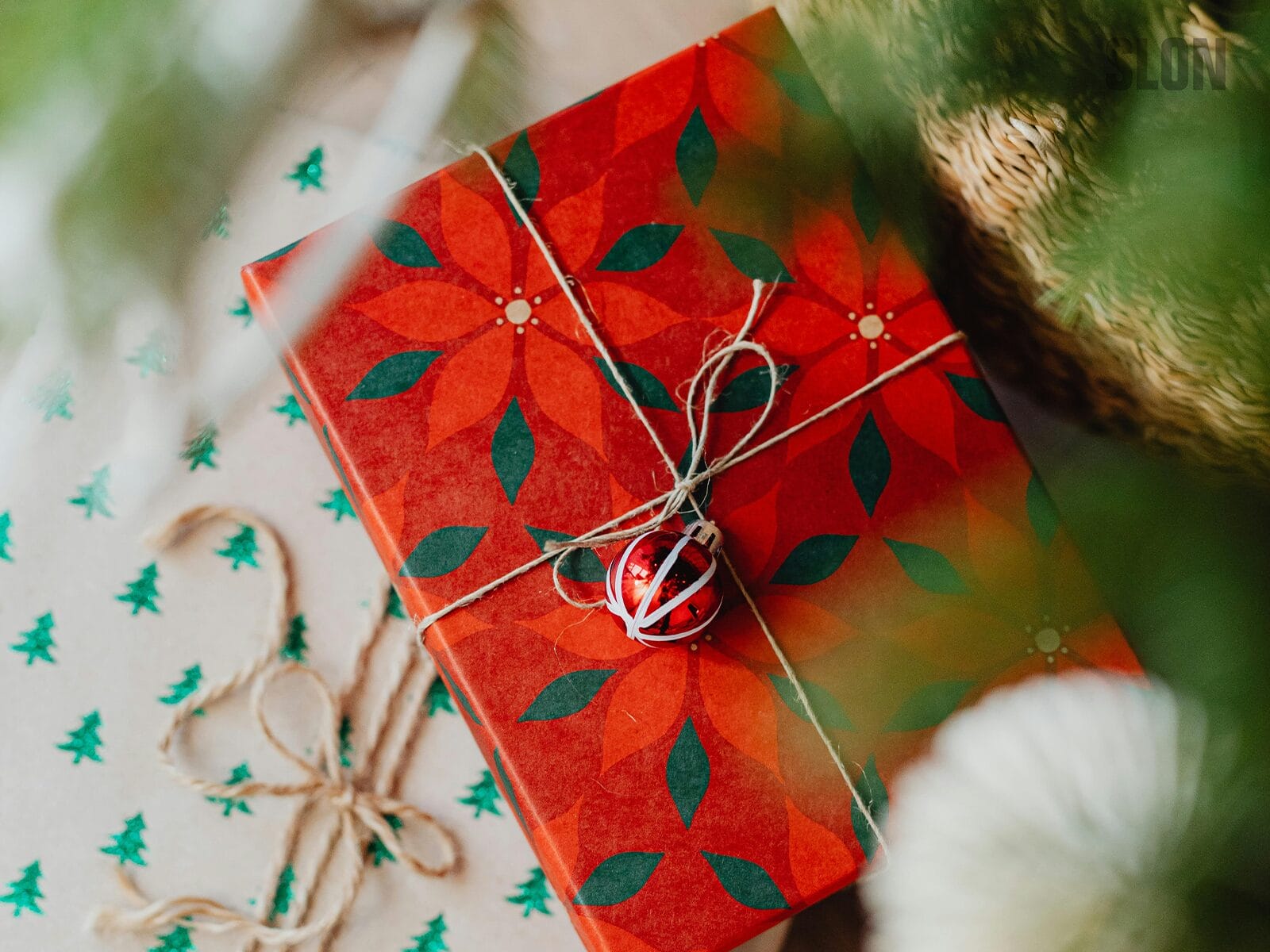 jelka poklon 2 Giving Friday kao miran uvod u decembar