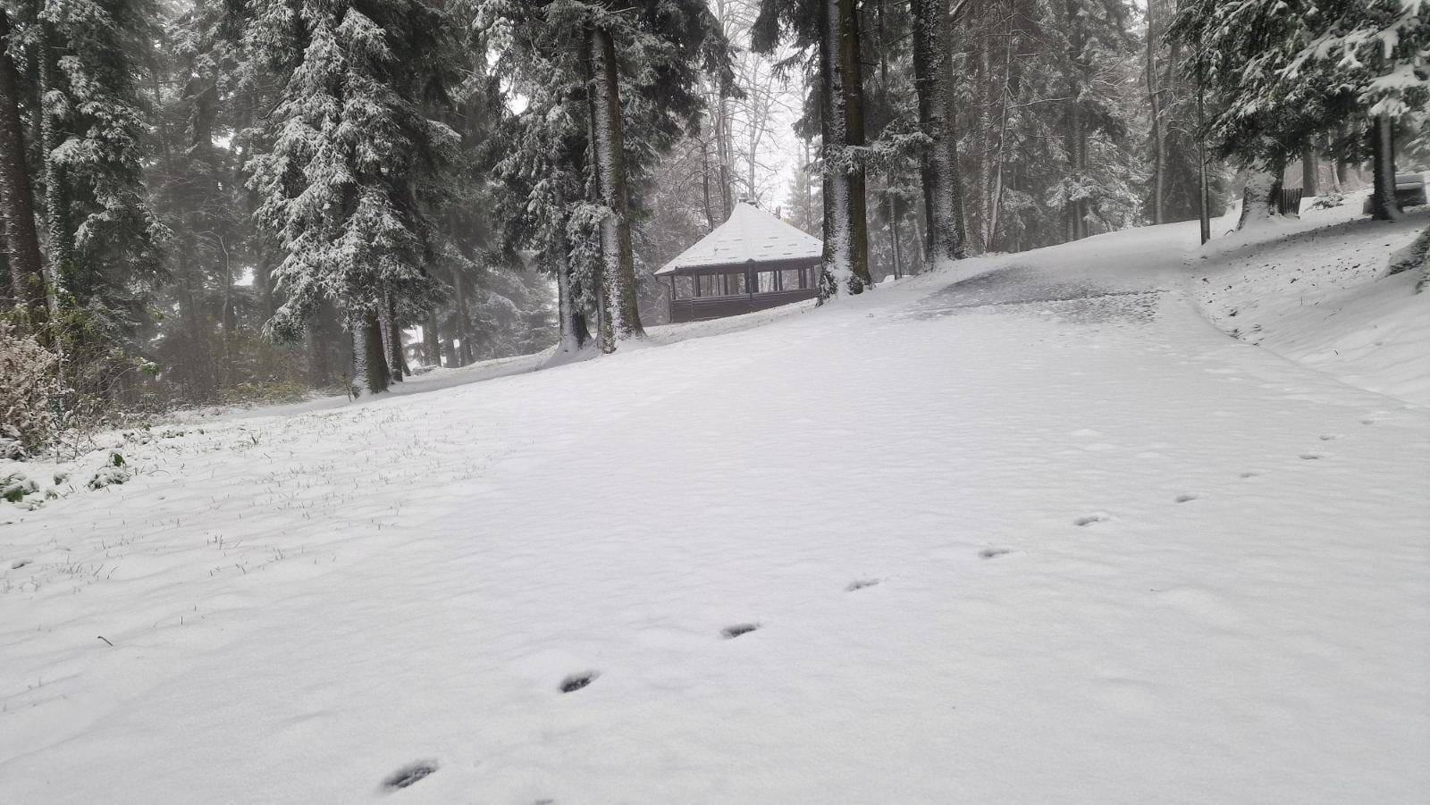 kozara kozara, snijeg