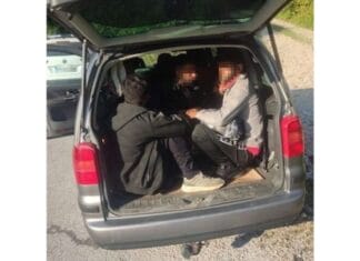 Spriječeno krijumčarenje devet migranata u akciji Granične policije BiH Spriječeno krijumčarenje devet migranata u akciji Granične policije BiH