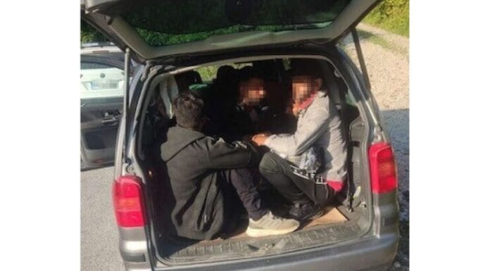 Spriječeno krijumčarenje devet migranata u akciji Granične policije BiH Spriječeno krijumčarenje devet migranata u akciji Granične policije BiH