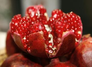 Iako je zdrav, nekad treba izbjegavati nar