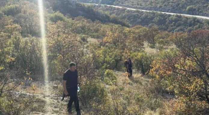 Nastavljena potraga za nestalom Fatimom Džajić