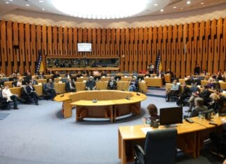 Danas predstavljeni nalazi evropskih naučnika o pomoru ribe u Neretvi