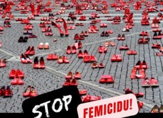 Mirna šetnja za Aldinu Jahić biće održana u Kalesiji Mirna šetnja za Aldinu Jahić biće održana u Kalesiji