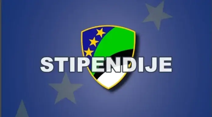 Konkurs za stipendiranje učenika i studenata sa invaliditetom u TK