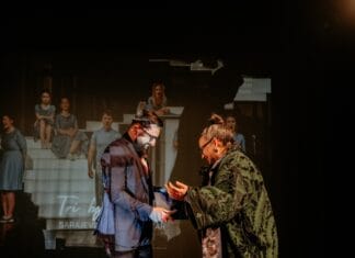 Tuzlanski pozorišni dani 2025: „Tri boje cvekle“ apsolutni pobjednik festivala