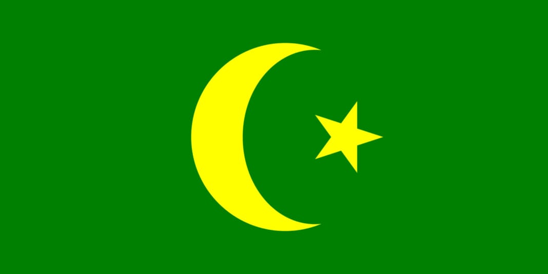 Zastava Bosne i Hercegovine kroz historiju