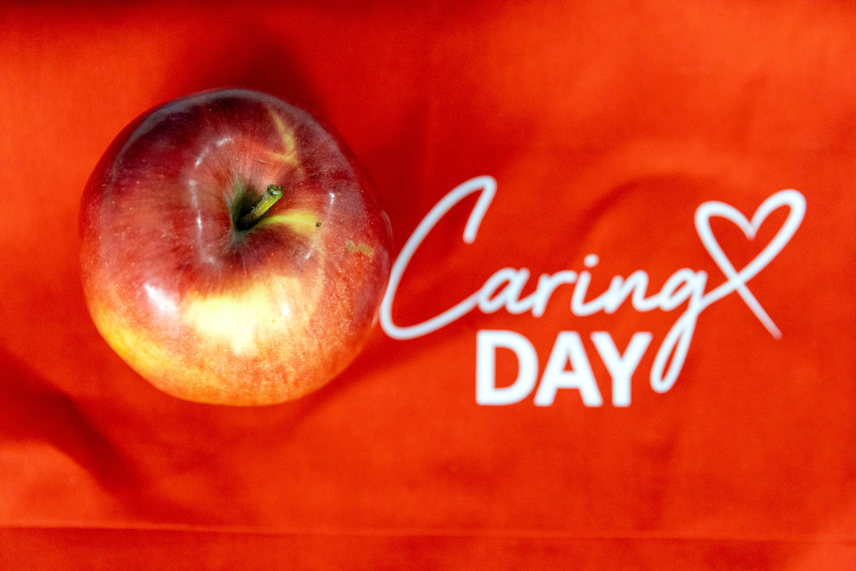 Hemofarm_Dan brižnosti Hemofarm u globalnom Danu brižnosti