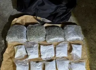 droge, droga, narkotici, kriminal, mup, uprava policije