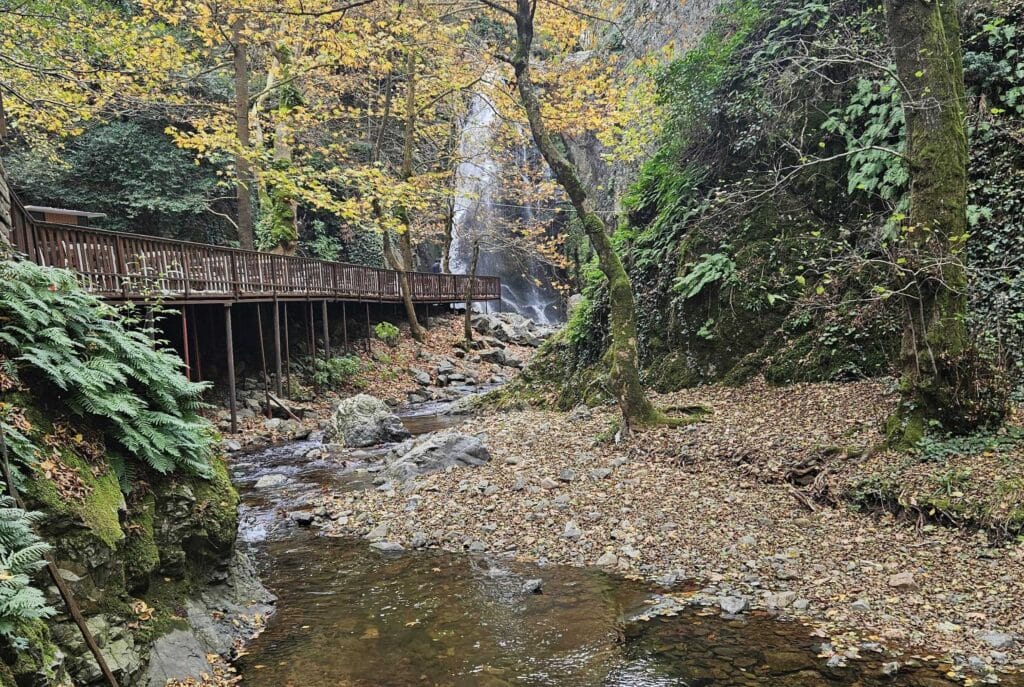 Yalova, Prilaz vodopadu Südüşen kroz Harmankaya kanjon, drvena staza uz potok i jesenje lišće