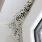 Jednostavna navika koja zimi sprječava buđ i maglu na prozorima