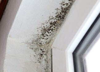 Jednostavna navika koja zimi sprječava buđ i maglu na prozorima