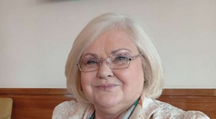 Bukić: U ratu biti novinar značilo je biti artiljerac u medijima