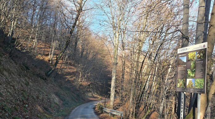 Tuzla se jutros ponovo guši, ali postoji rješenje na dohvat ruke