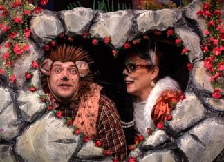 Predstava “Ježeva kućica” donosi prazničnu čaroliju u Narodno pozorište Tuzla