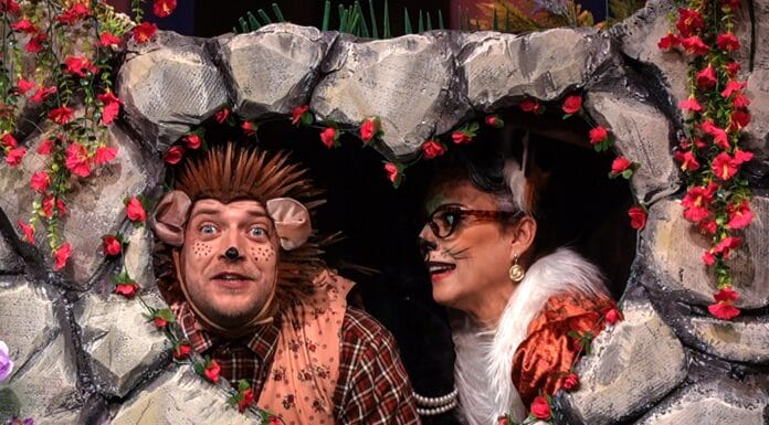 Predstava “Ježeva kućica” donosi prazničnu čaroliju u Narodno pozorište Tuzla