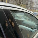 ivan pernar, auto, tuzla, status