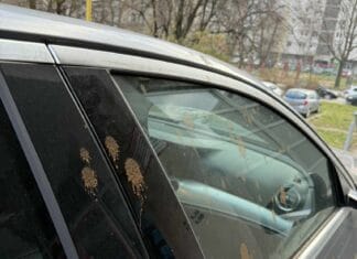 Ivan Pernar nazvao tuzlake „pakosnom sirotinjom“ ivan pernar, auto, tuzla, status