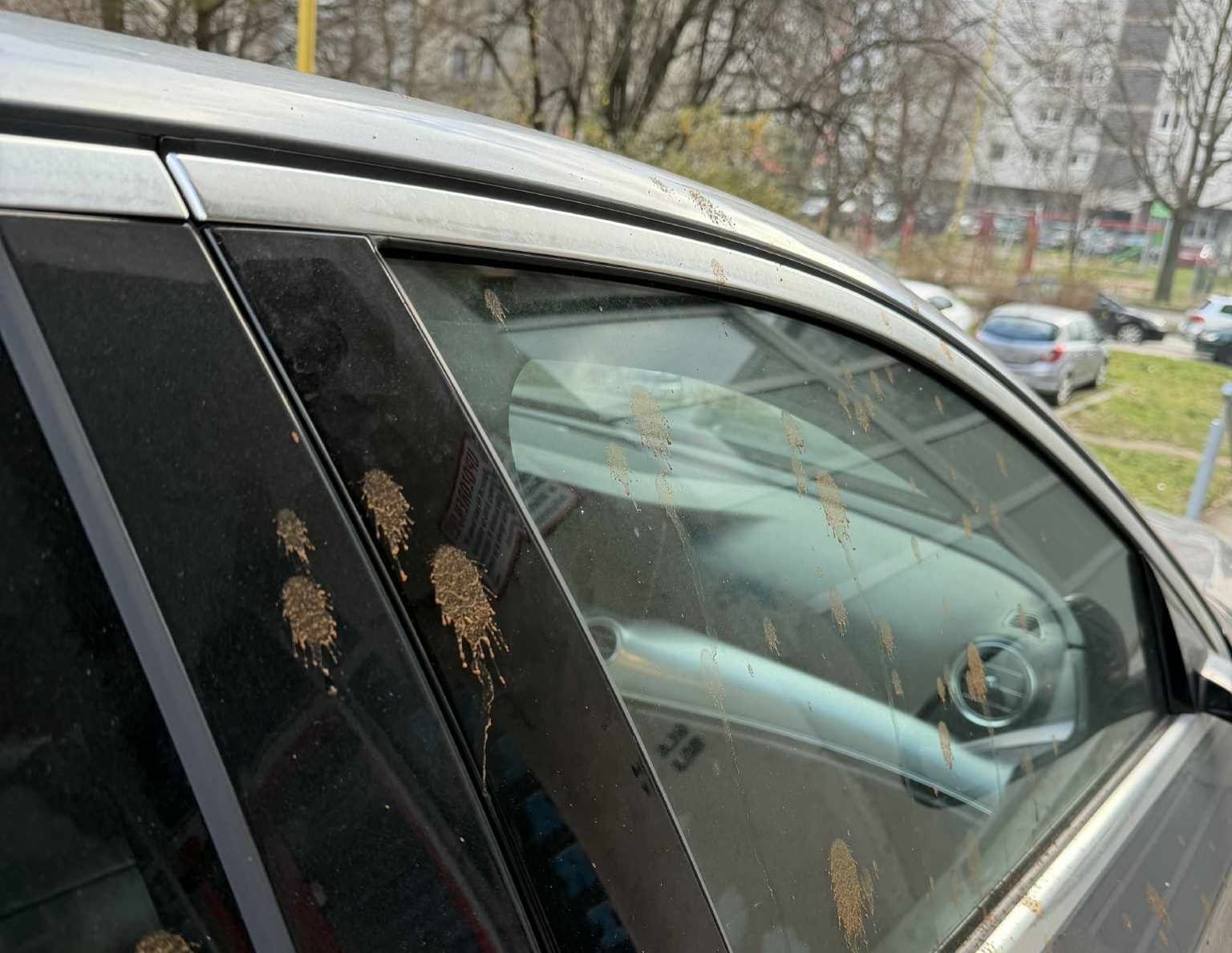 ivan pernar, auto, tuzla, status