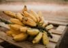 Otkriveno kako da banane ostanu svježe i do 15 dana