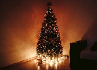Cijeli život novogodišnju jelku stavljate na pogrešno mjesto, otkrivena je tajna savršene lokacije Cijeli život novogodišnju jelku stavljate na pogrešno mjesto, otkrivena je tajna savršene lokacije