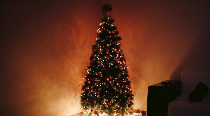 Cijeli život novogodišnju jelku stavljate na pogrešno mjesto, otkrivena je tajna savršene lokacije Cijeli život novogodišnju jelku stavljate na pogrešno mjesto, otkrivena je tajna savršene lokacije