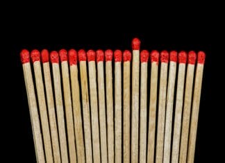 Genijalan trik sa šibicama može spasiti sobne biljke koje venu Genijalan trik sa šibicama može spasiti sobne biljke koje venu